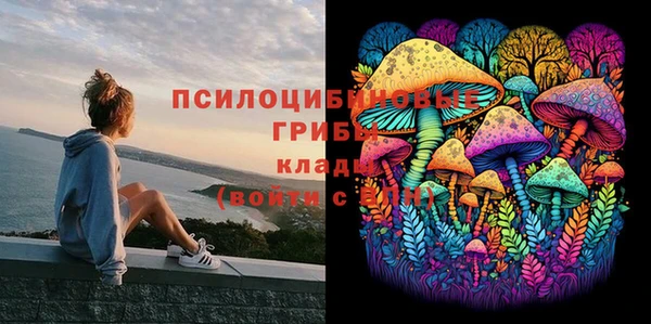 гидра Богданович