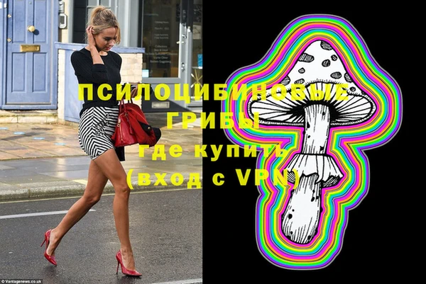 гидра Богданович