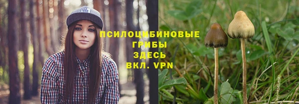 прущий лед Богородицк