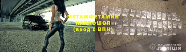 гидра Богданович