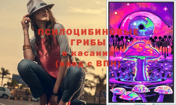 гидра Богданович
