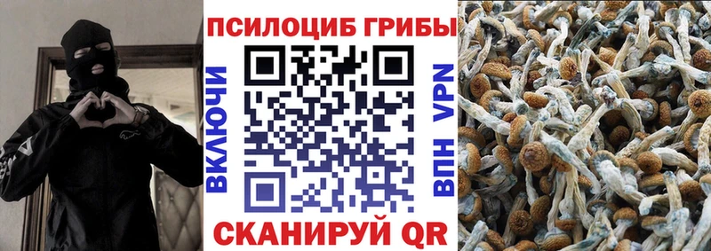 KRAKEN ссылка  наркота  Бугульма  Галлюциногенные грибы Psilocybine cubensis 
